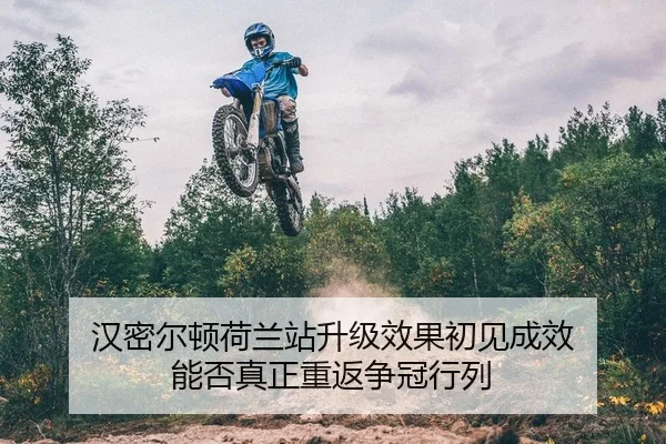 han-mi-er-dun-he-lan-zhan-sheng-ji-xiao-guo-chu-jian-cheng-xiao-neng-fou-zhen-zheng-chong-fan-zheng-guan-hang-lie-2-426.jpg